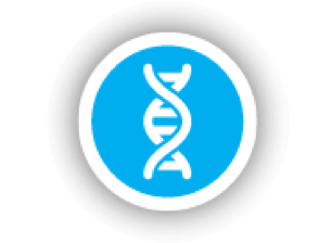 Icon of DNA helix